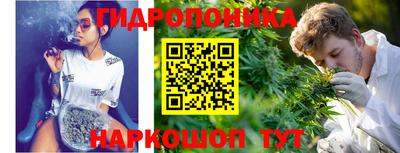 a pvp Рыбинск