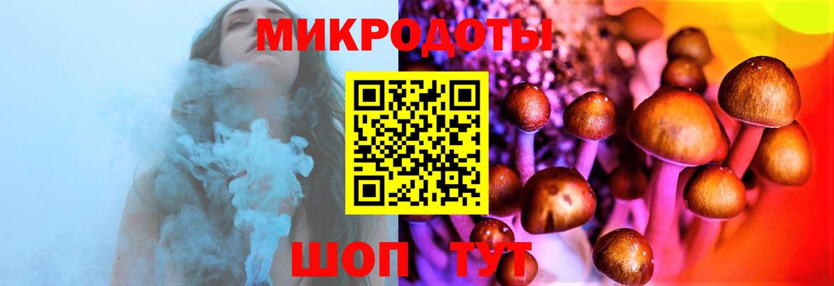 Рязань  Галлюциногенные грибы ЛСД  Галлюциногенные грибы Psilocybe  Вход с VPN 